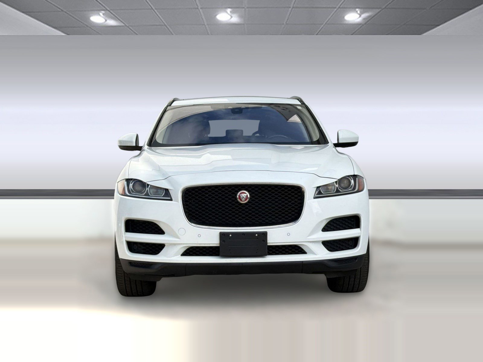 Used 2019 Jaguar F-PACE Premium AWD/4WD image 6
