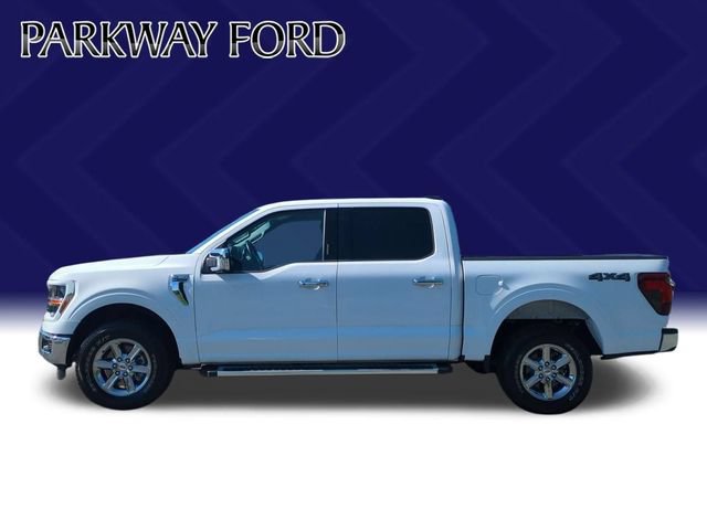Used 2024 Ford F150 XLT w/ Equipment Group 302A MID AWD/4WD image 2