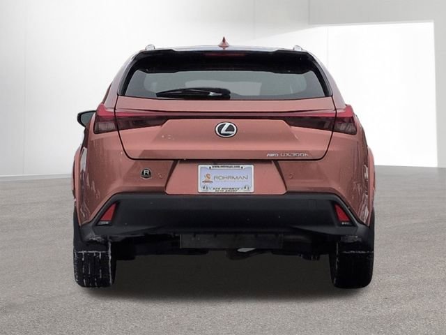Used 2025 Lexus UX 300h AWD image 6