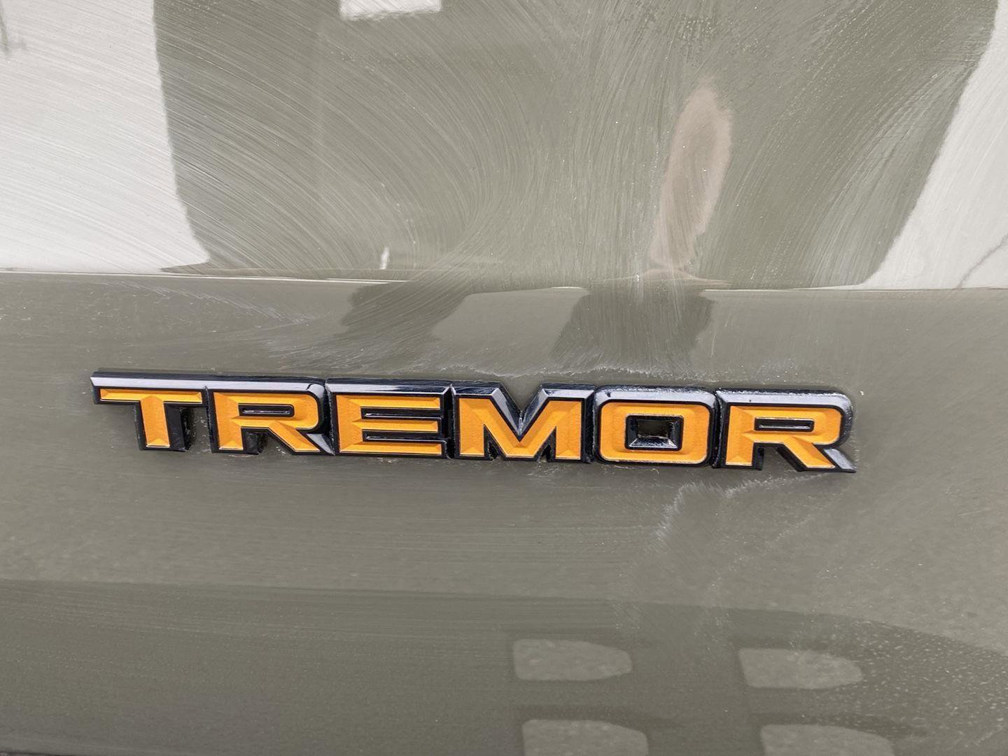 New 2025 Ford Expedition Tremor AWD/4WD image 31