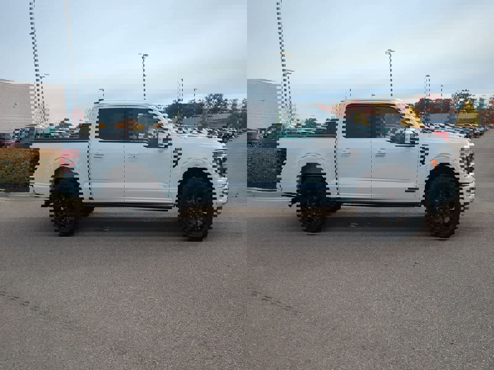 Used 2025 Ford F150 Platinum w/ Equipment Group 702A High image 9