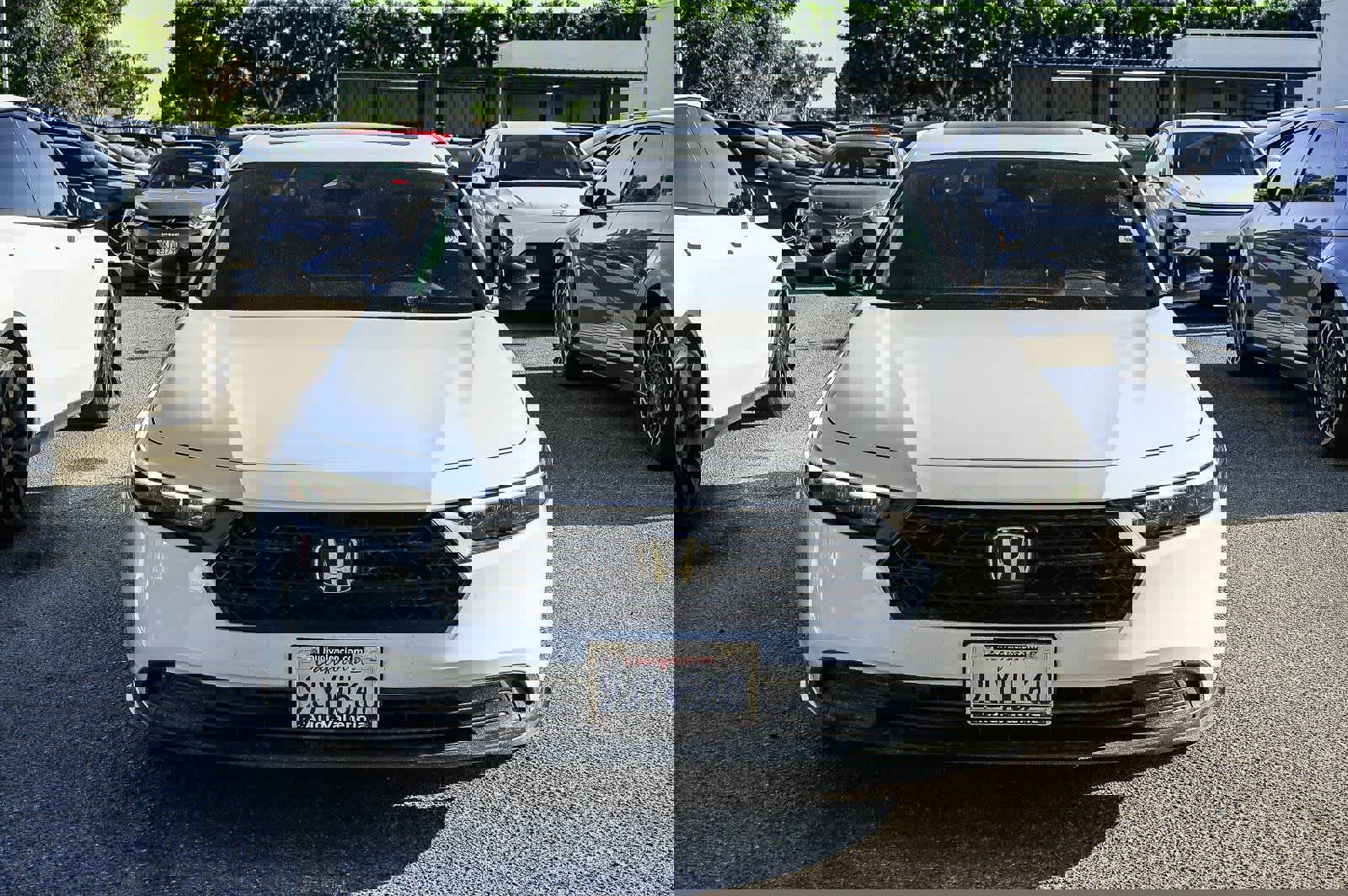 Used 2024 Honda Accord Sport image 6