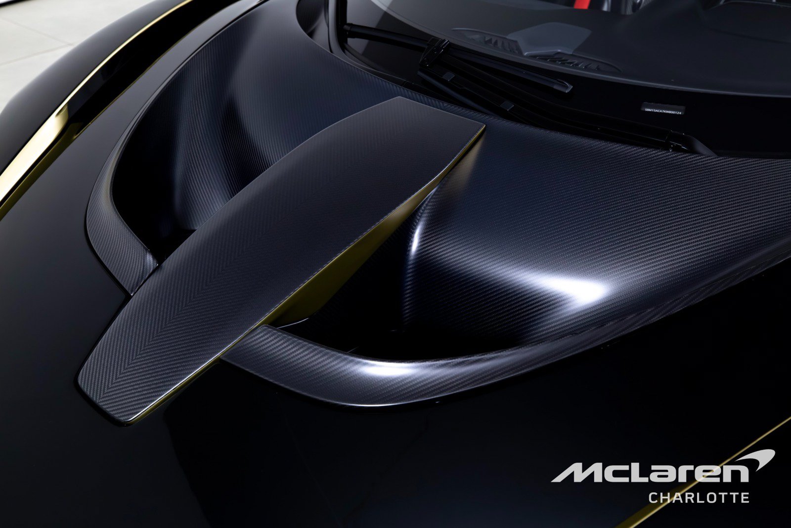 Used 2019 McLaren Senna RWD image 39