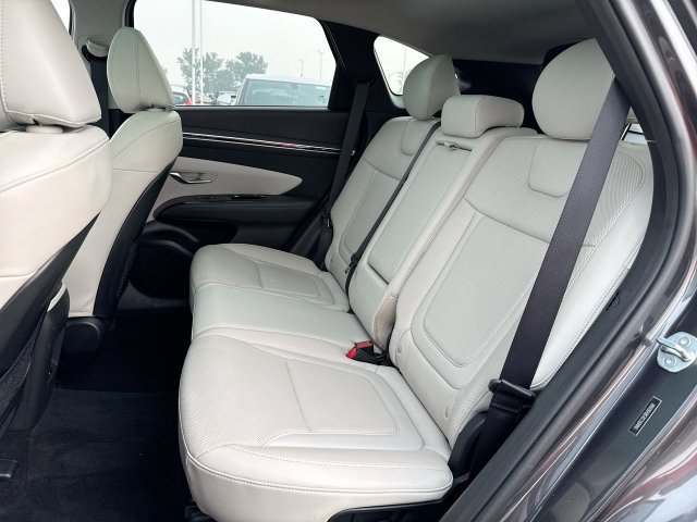 Used 2024 Hyundai Tucson Limited AWD/4WD image 23
