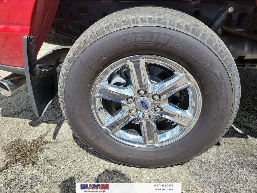 Used 2025 Ford F150 XLT w/ Equipment Group 302A MID AWD/4WD image 5