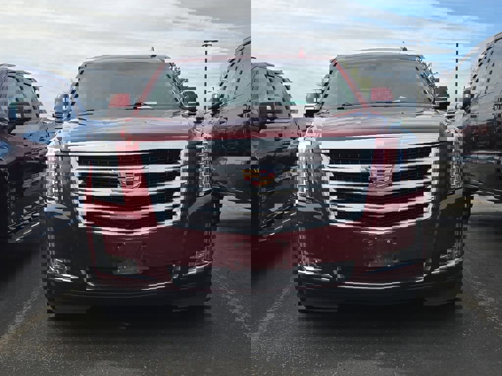 Used 2019 Cadillac Escalade Luxury image 5