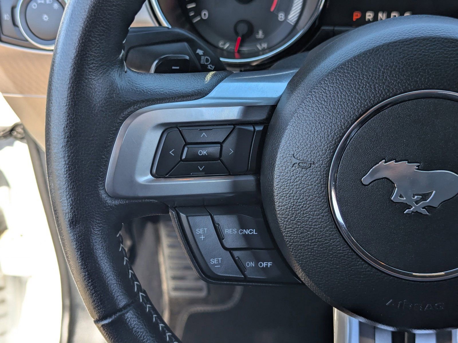 Used 2015 Ford Mustang Premium w/ Equipment Group 201A RWD image 22