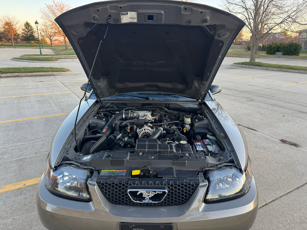 Used 2001 Ford Mustang GT image 14
