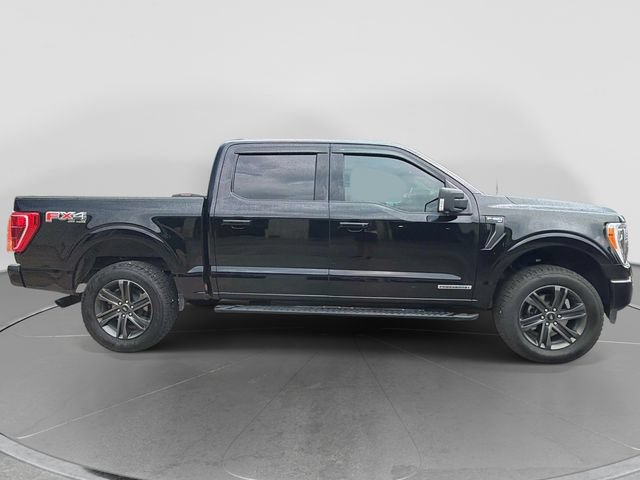 Used 2022 Ford F150 XLT w/ Equipment Group 302A High AWD/4WD image 2