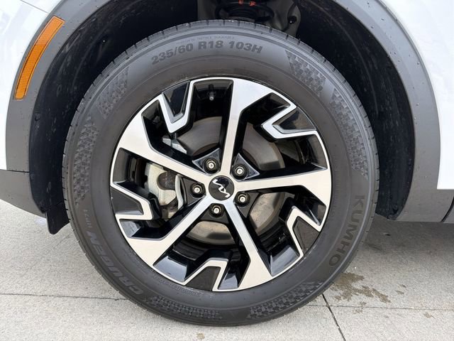 Used 2023 Kia Sportage EX image 12