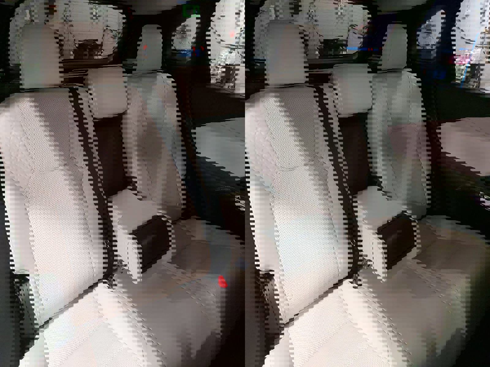 Used 2024 Lexus RX 350 Premium image 13