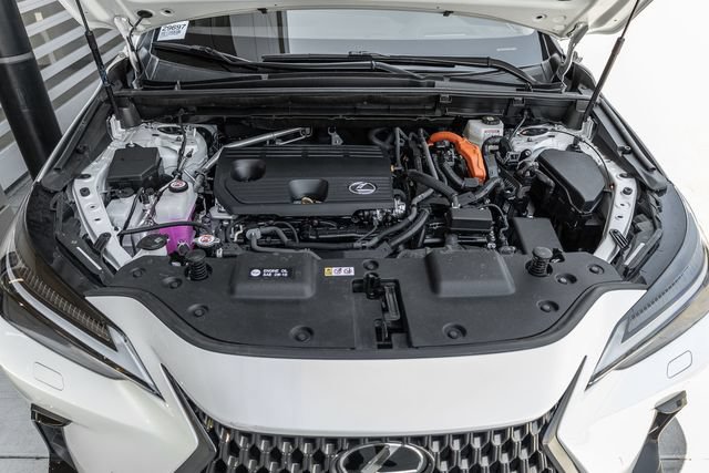 Used 2025 Lexus NX 350h AWD w/ Cold Area Package image 16