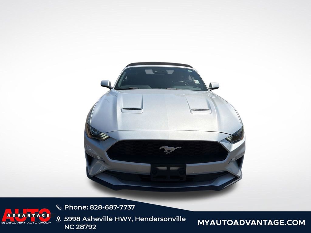 Used 2019 Ford Mustang Premium w/ Equipment Group 201A RWD image 2