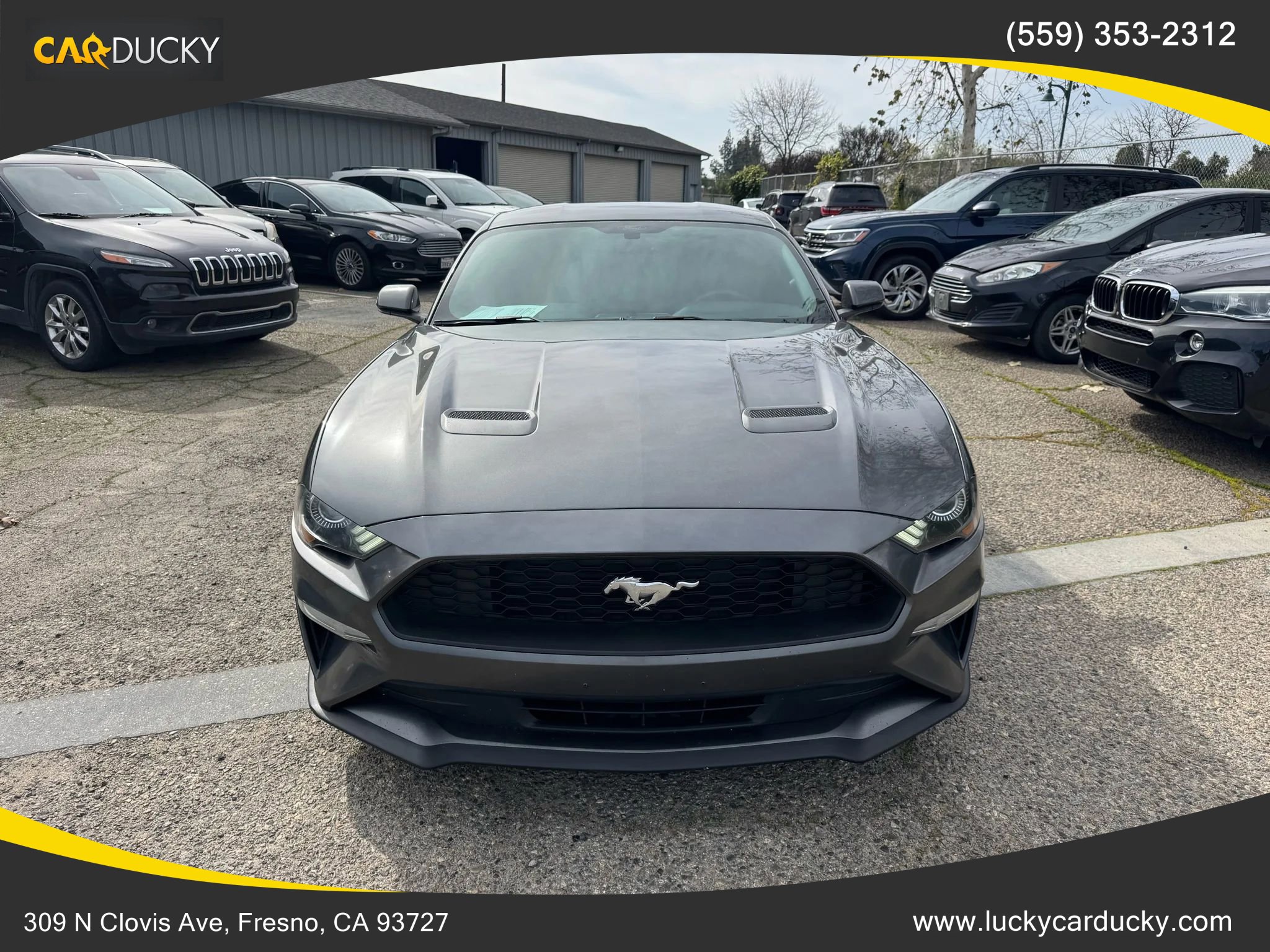 Used 2018 Ford Mustang Coupe w/ Equipment Group 101A image 2