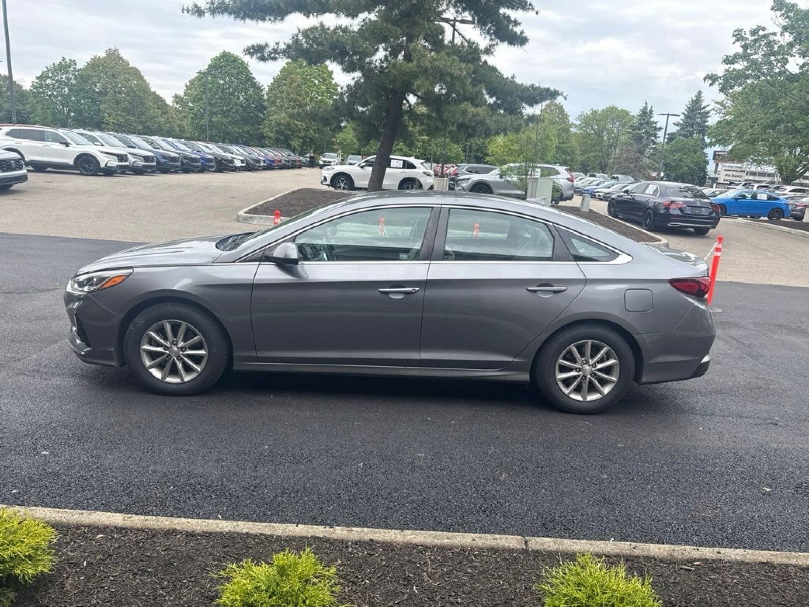 Used 2019 Hyundai Sonata ECO FWD image 5