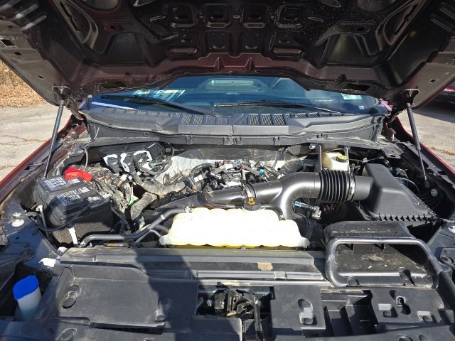 Used 2025 Ford F150 XLT w/ Equipment Group 301A Standard image 10