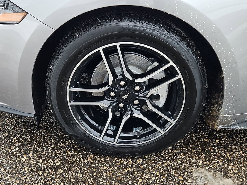 Used 2023 Ford Mustang Premium image 7