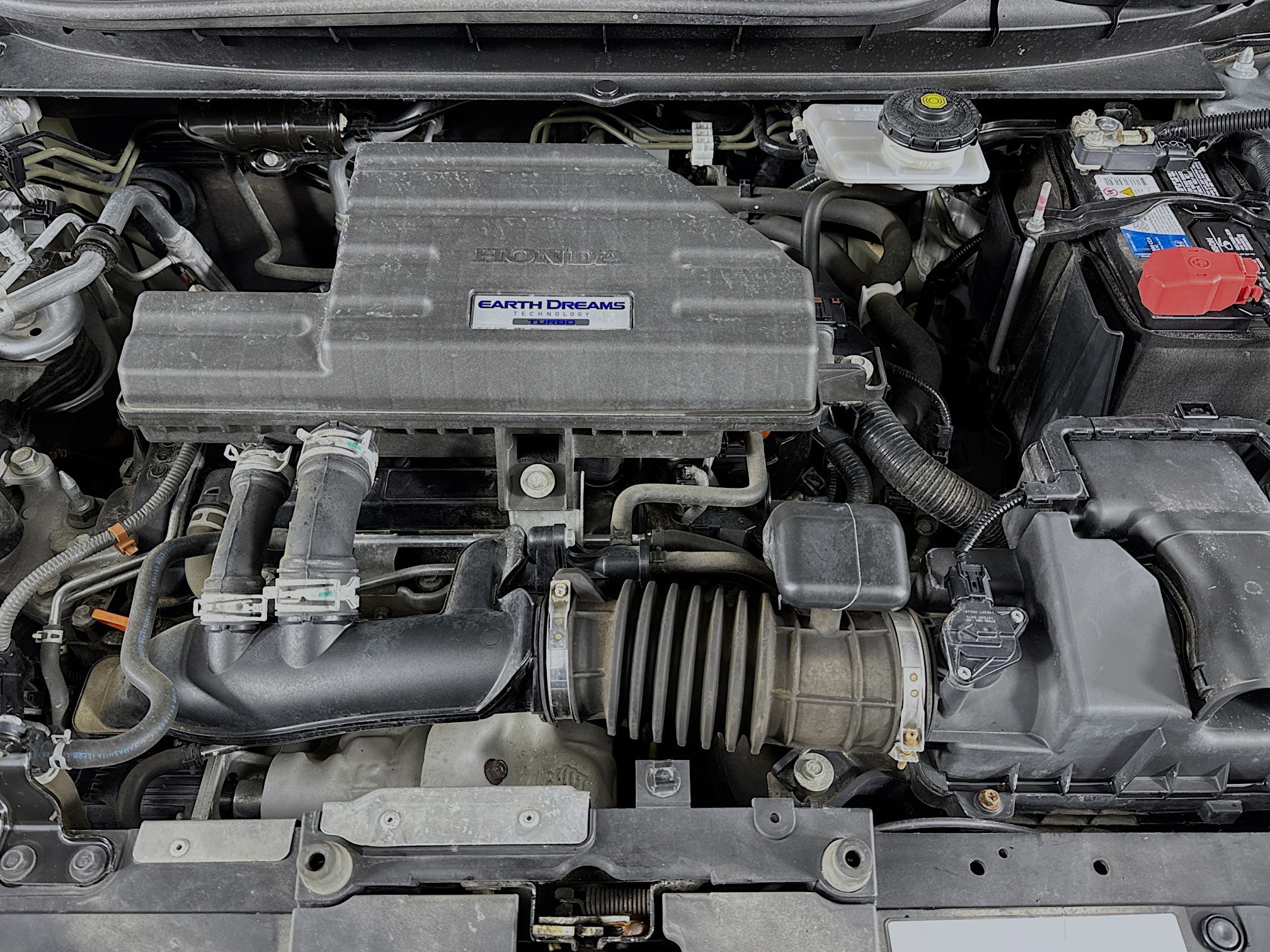 Certified 2019 Honda CR-V EX image 29