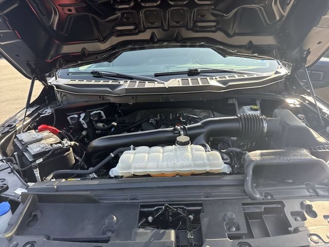 Certified 2025 Ford F150 XLT w/ Equipment Group 301A Standard AWD/4WD image 24