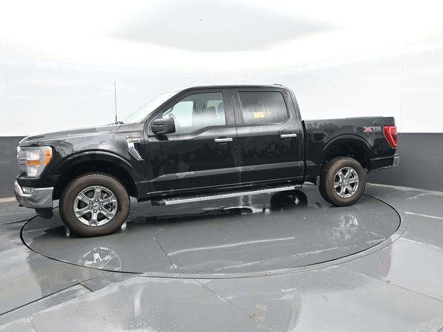 Used 2023 Ford F150 XL image 5