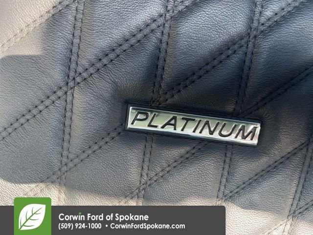 Used 2019 Toyota Tundra Platinum image 24