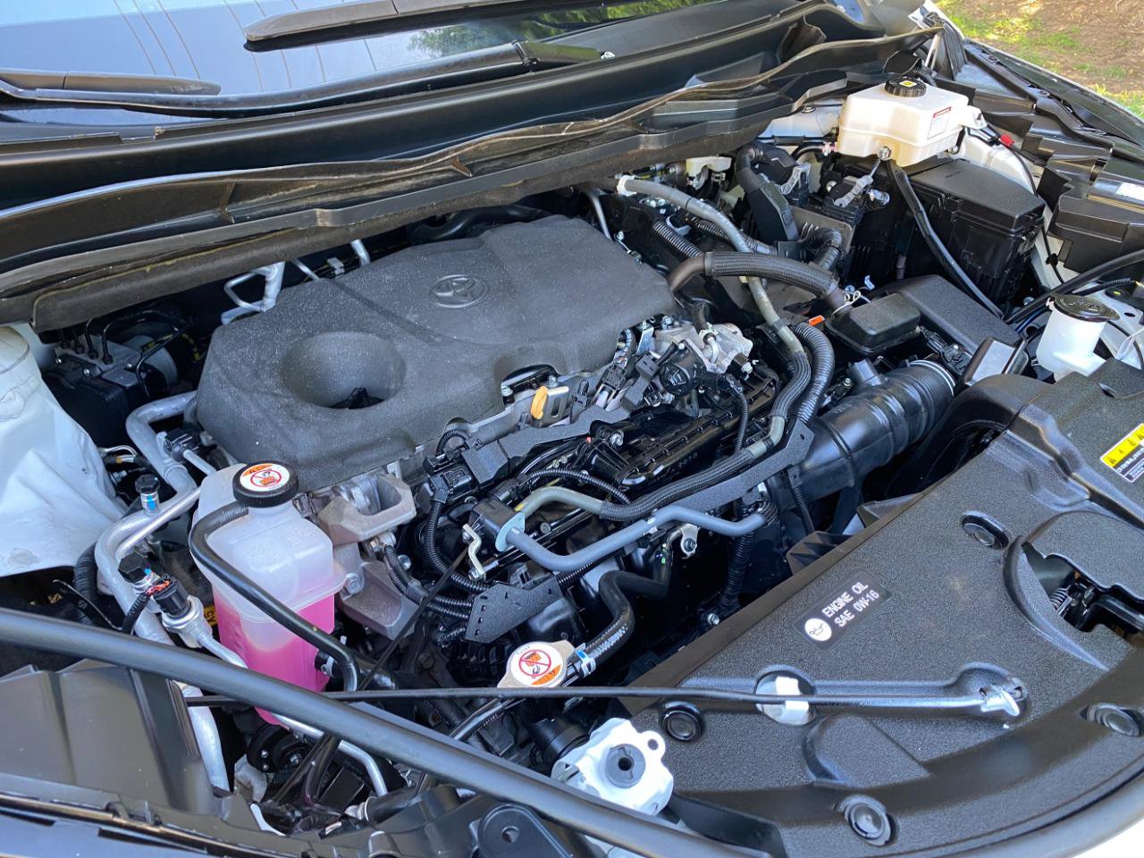 Used 2023 Toyota Sienna XLE FWD image 18