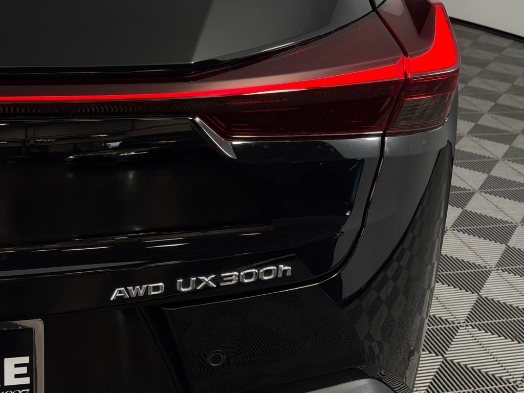 Used 2025 Lexus UX 300h AWD w/ Cold Area Package image 13