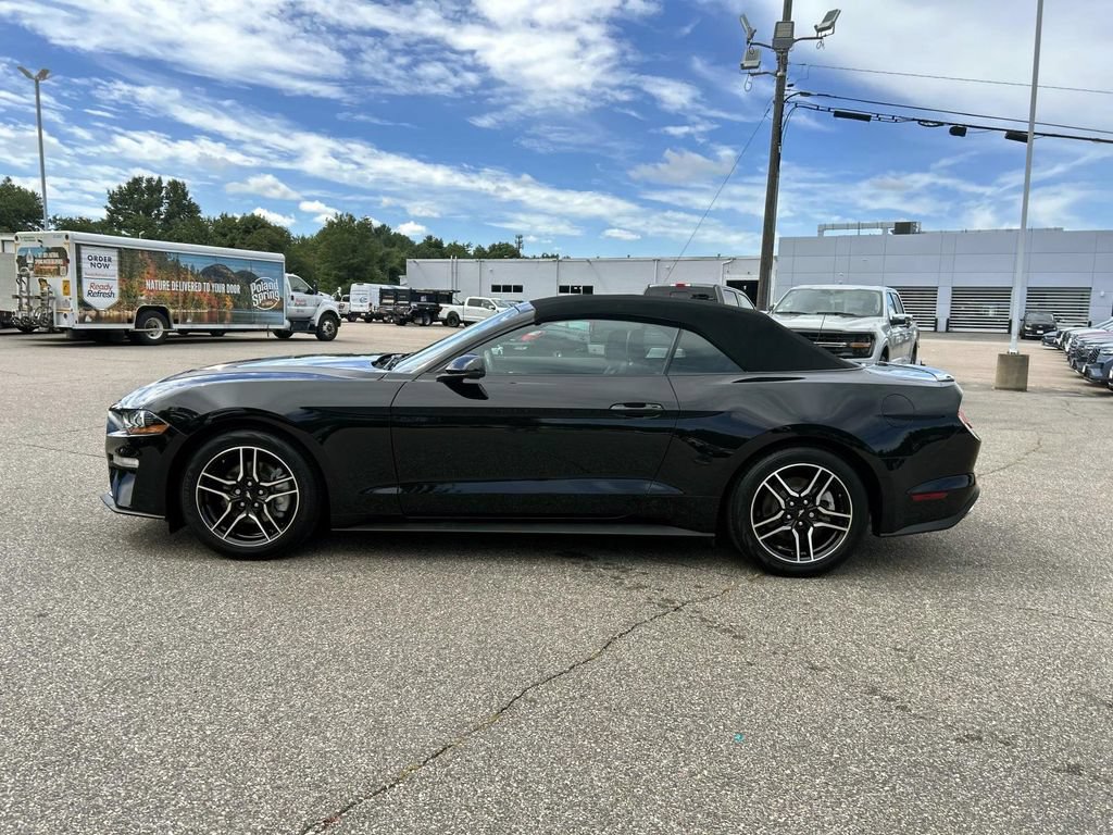 Used 2023 Ford Mustang Premium w/ Equipment Group 201A RWD image 6