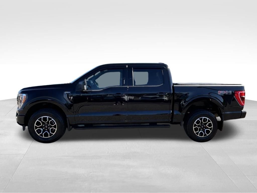 Used 2023 Ford F150 XLT w/ Equipment Group 302A High video 2