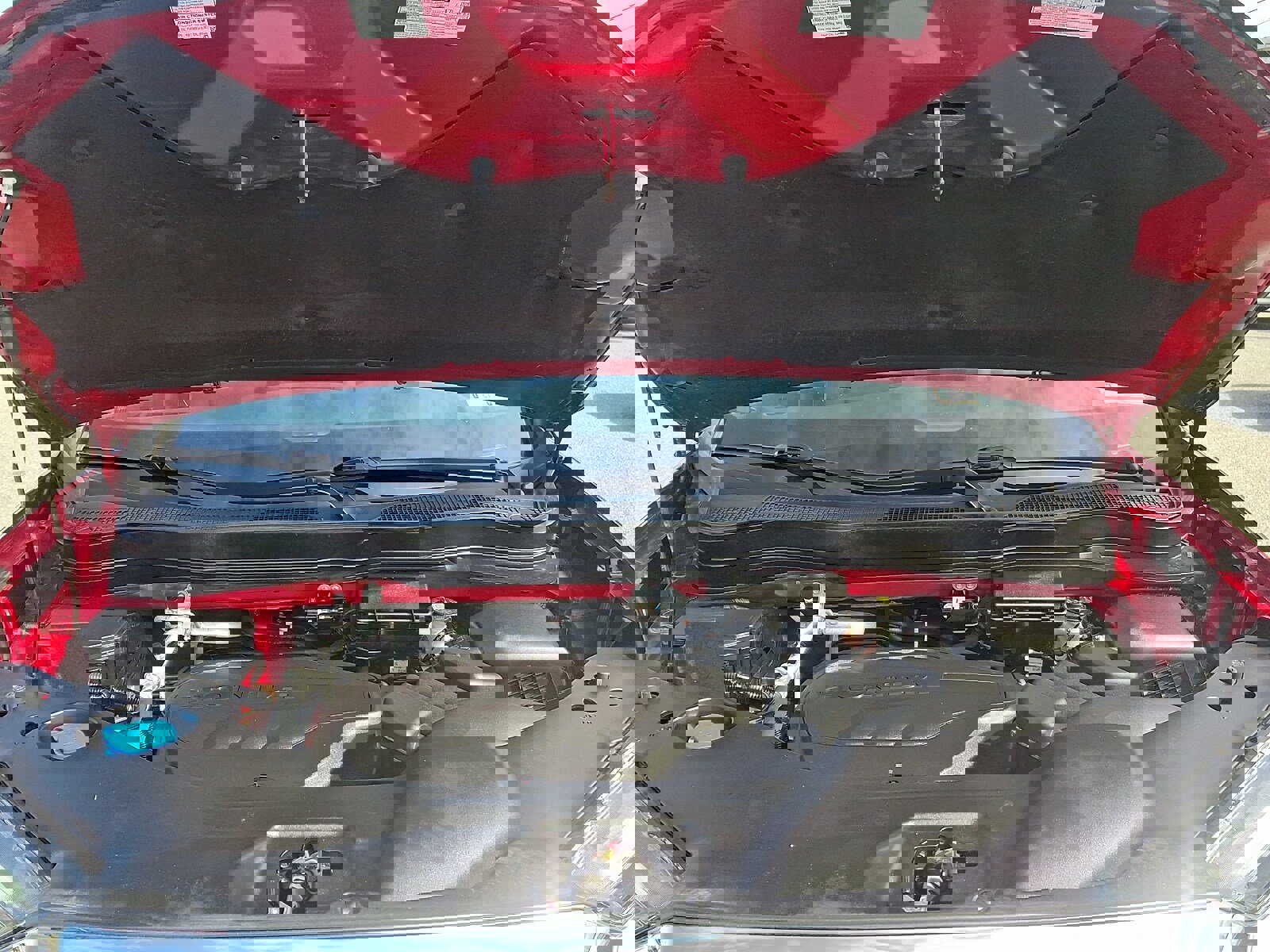 Used 2024 Honda Passport EX-L image 29