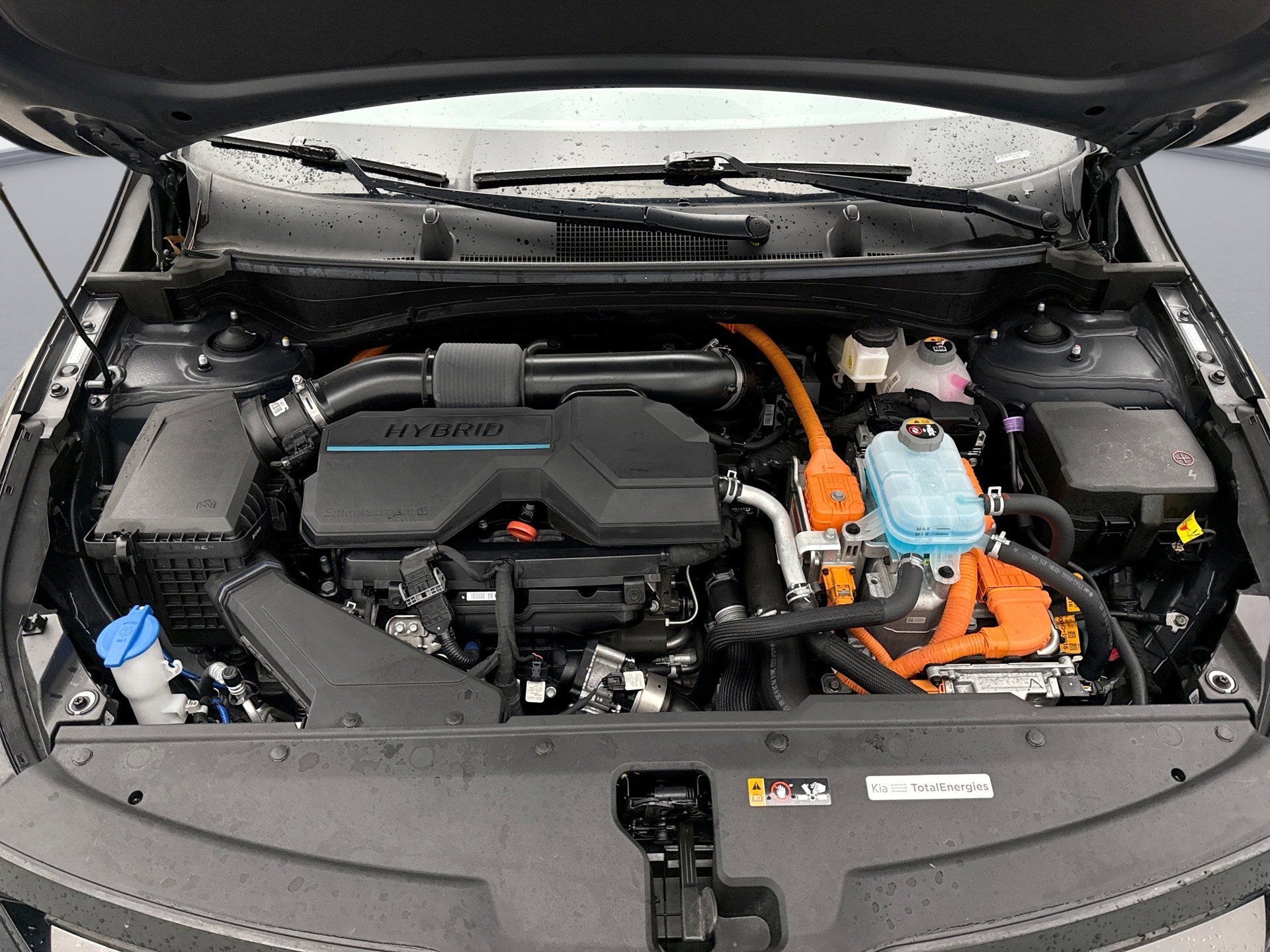 Used 2024 Kia Sportage X-Line image 27