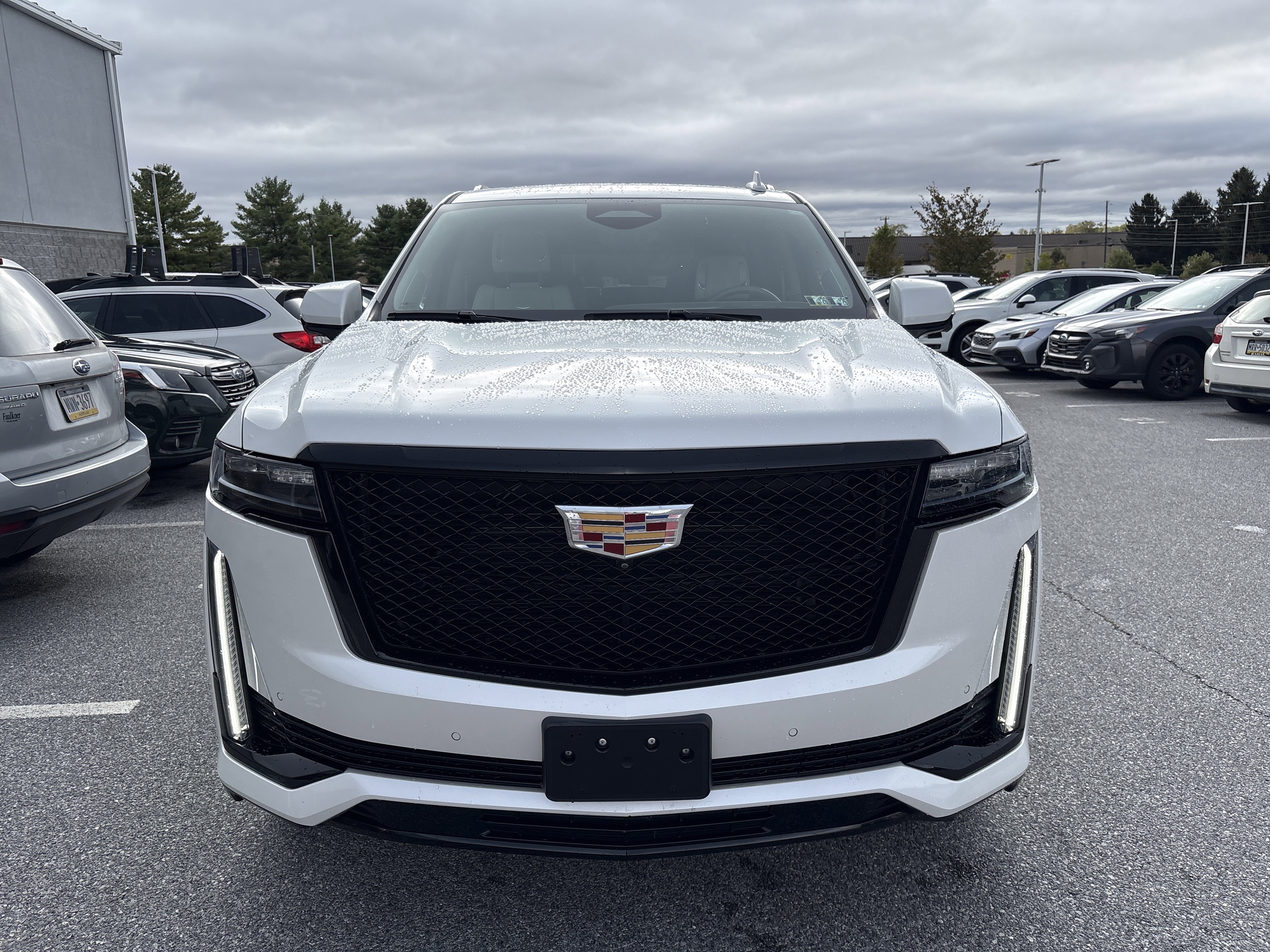 Used 2023 Cadillac Escalade Sport Platinum image 10