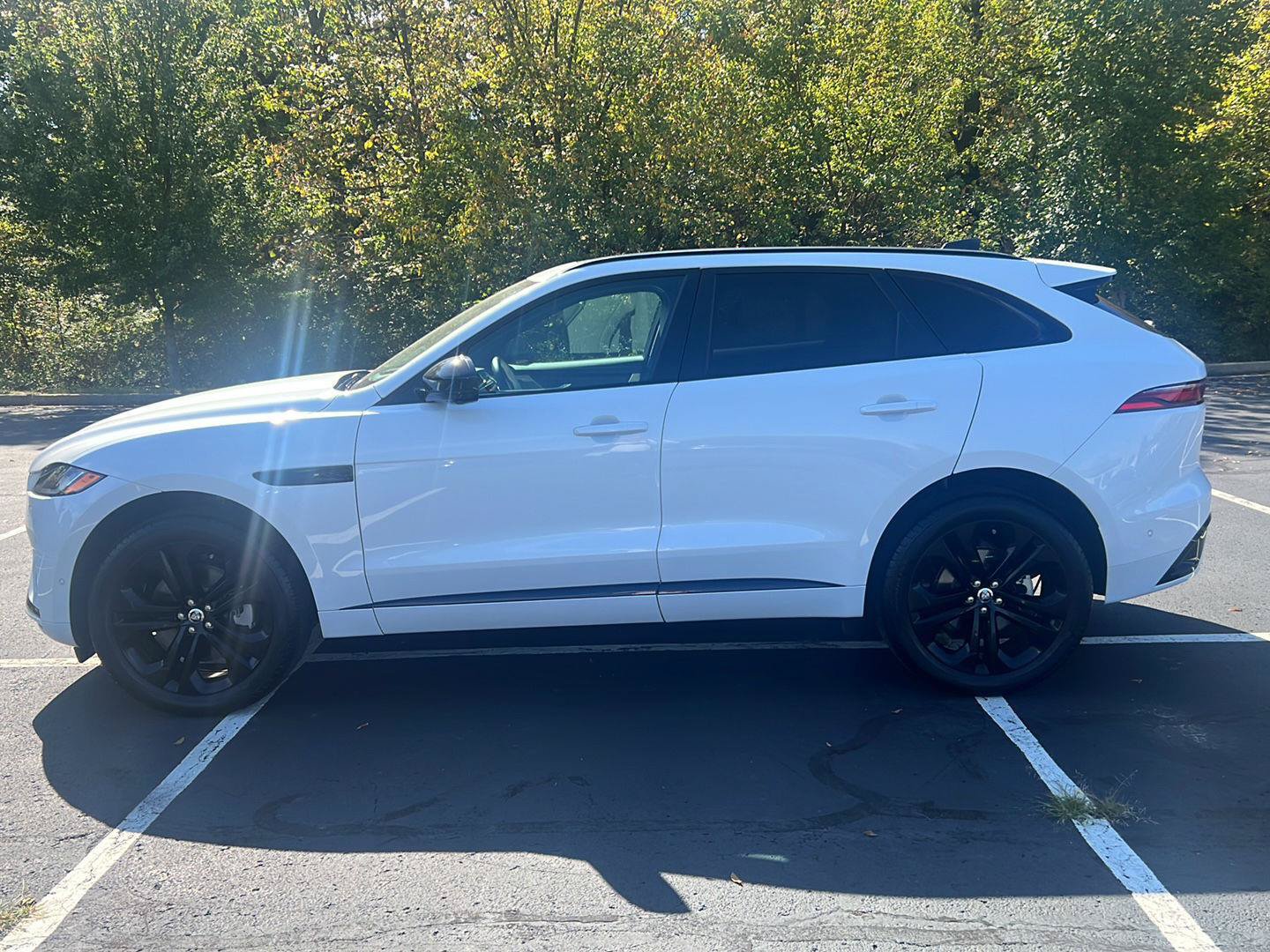 Certified 2026 Jaguar F-PACE R-Dynamic S AWD/4WD image 2