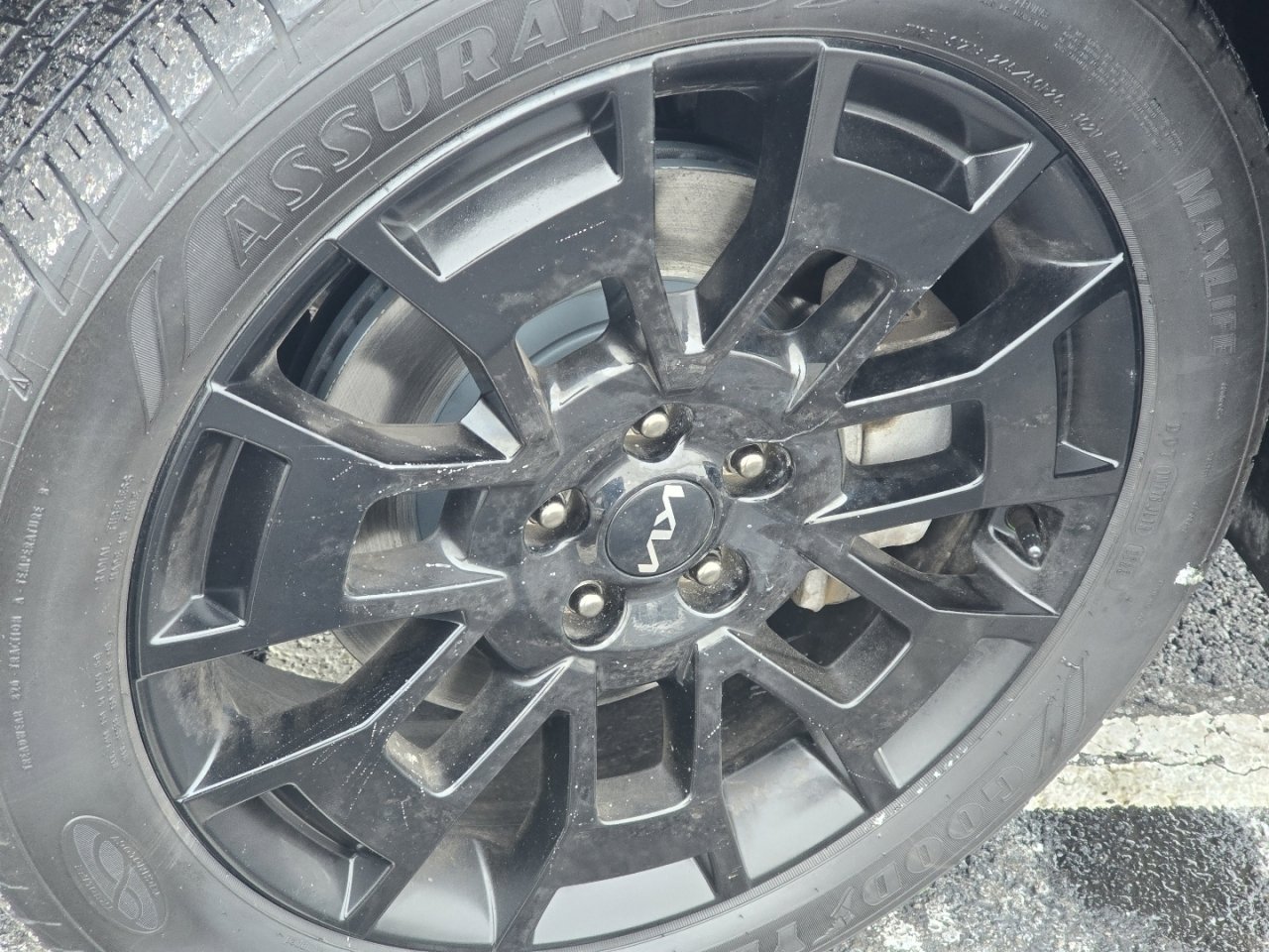 Used 2022 Kia Telluride SX w/ SX Prestige Package image 13