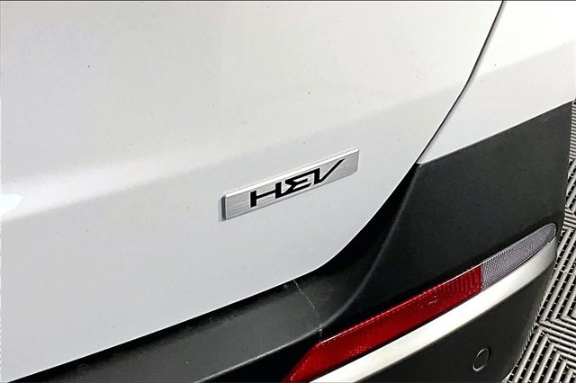 New 2026 Kia Carnival Hybrid image 10