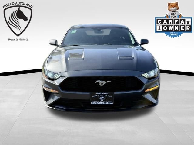 Used 2018 Ford Mustang Coupe w/ Equipment Group 101A image 2