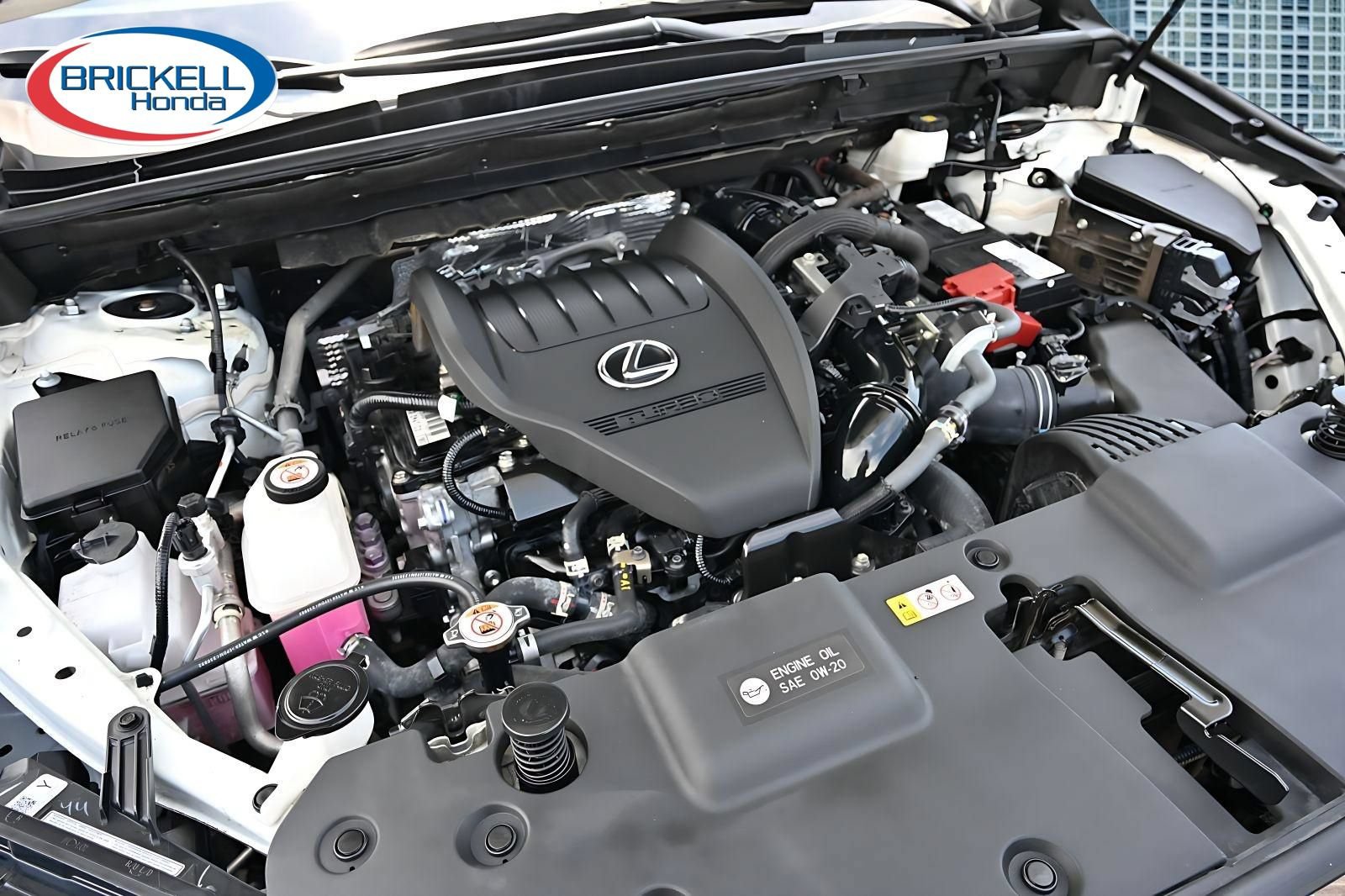 Used 2024 Lexus NX 350 F Sport AWD/4WD image 35