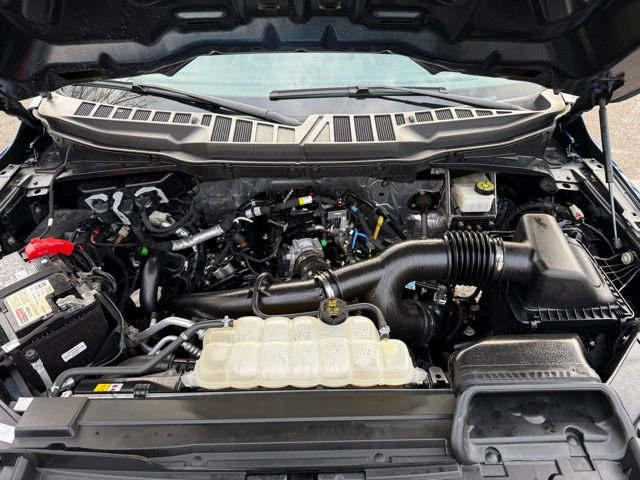 Certified 2023 Ford F150 XL w/ STX Appearance Package AWD/4WD image 12