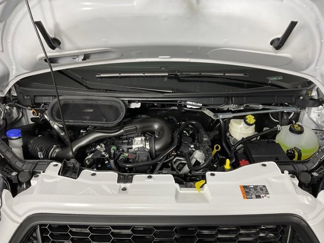 New 2026 Ford Transit 250 Low Roof w/ Load Area Protection Package image 9