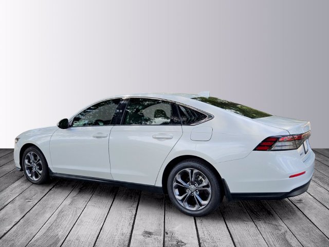 Certified 2024 Honda Accord EX image 3