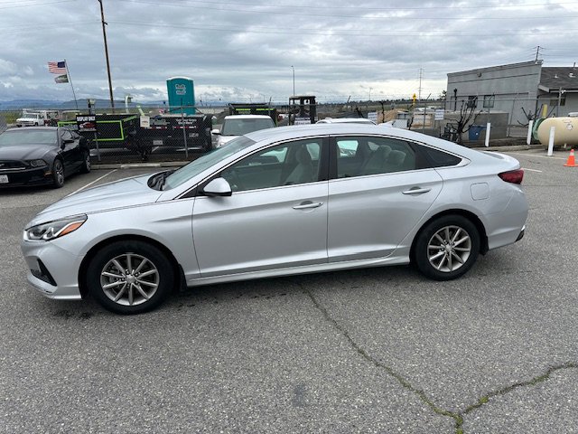 Used 2019 Hyundai Sonata SE w/ Cargo Package image 2
