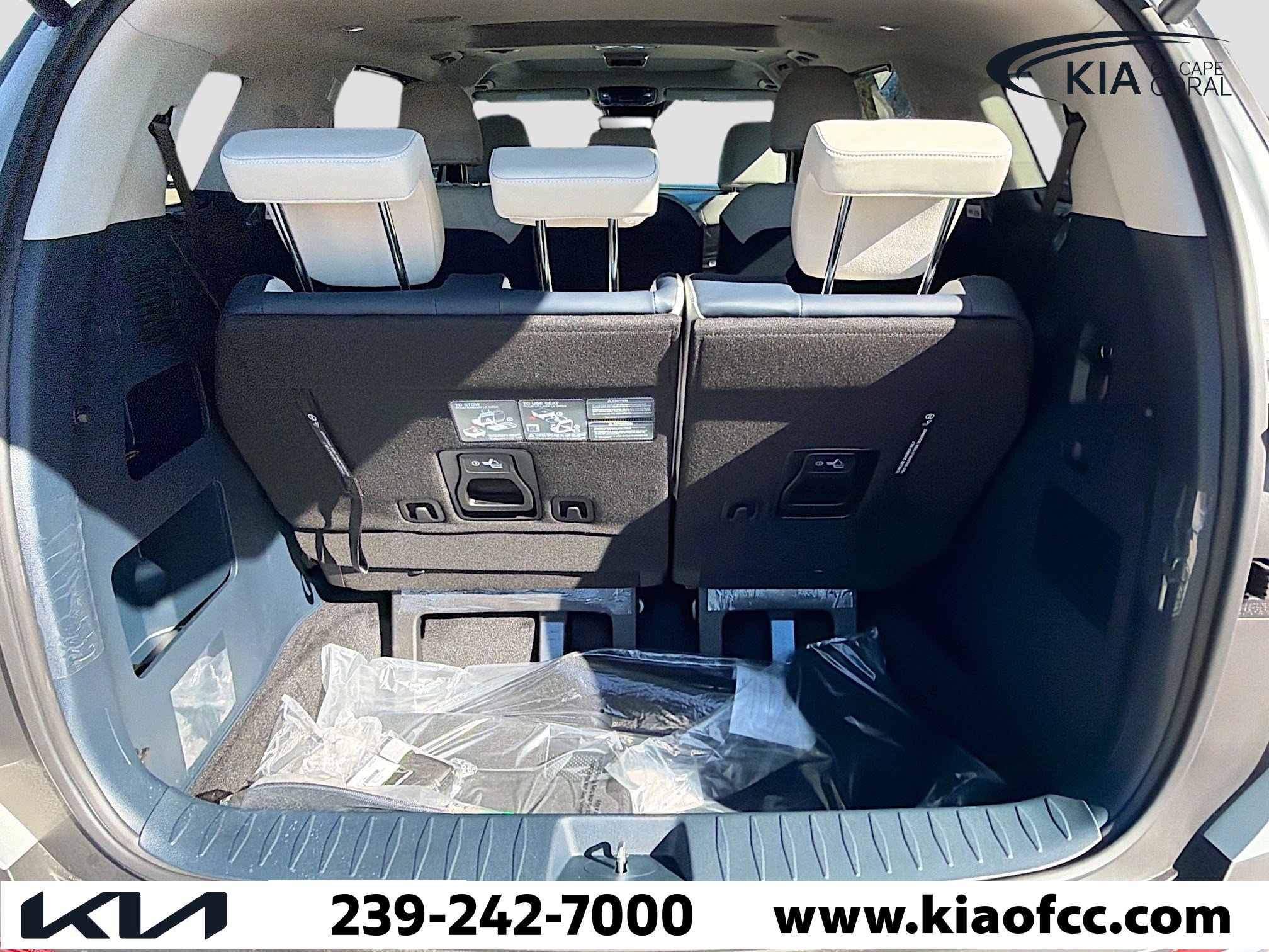 New 2026 Kia Carnival SX image 10