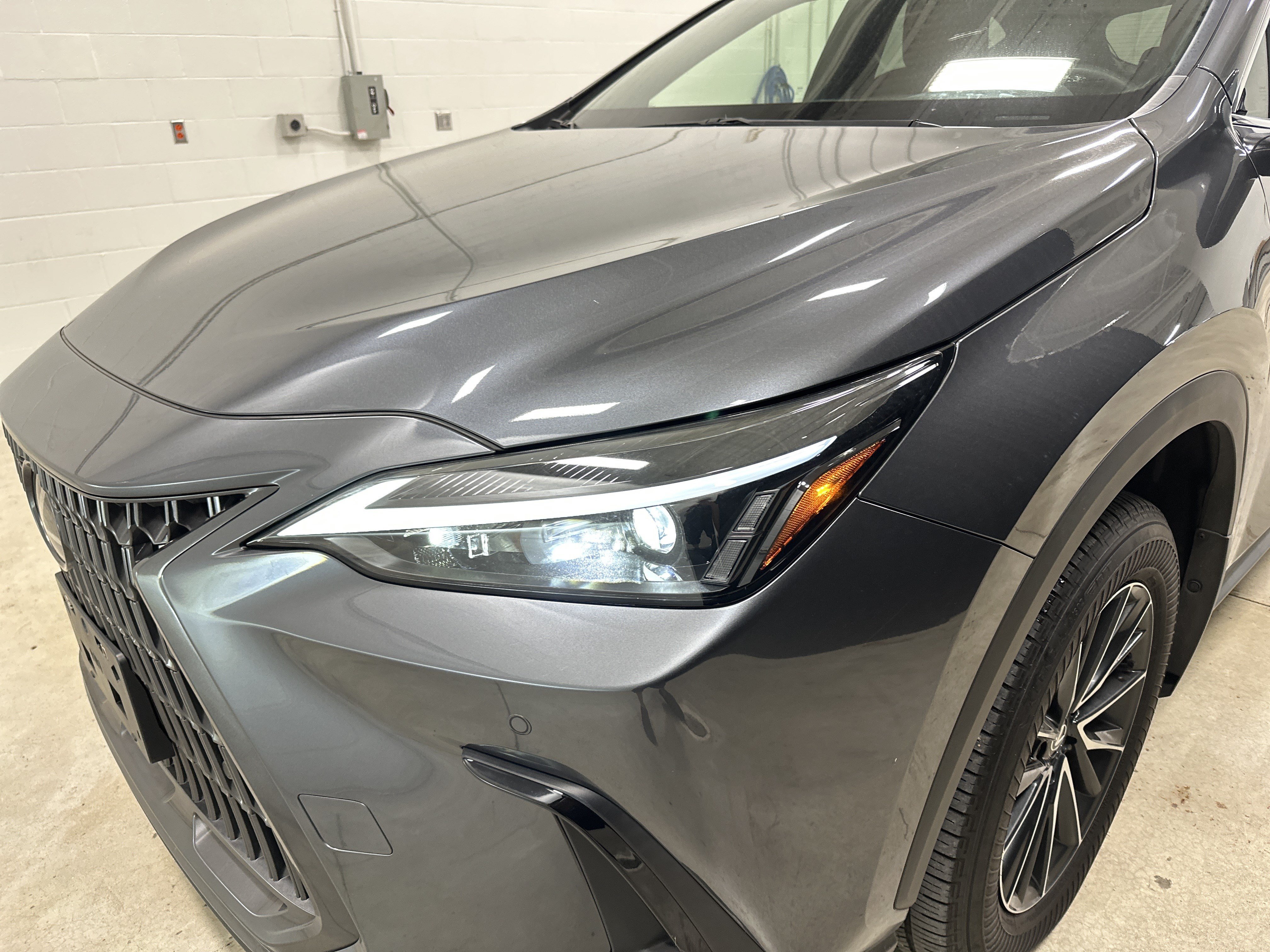 Certified 2024 Lexus NX 350h AWD w/ Premium Package image 6