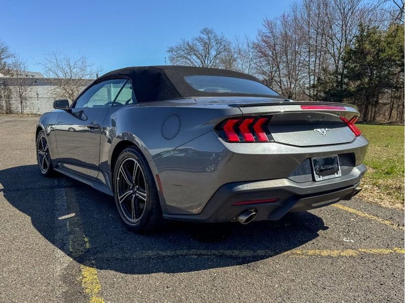 Used 2024 Ford Mustang Premium RWD image 8