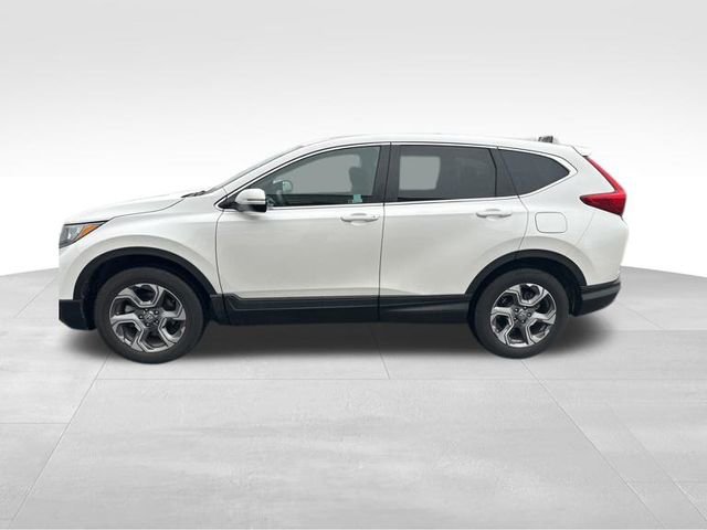 Used 2019 Honda CR-V EX-L image 5