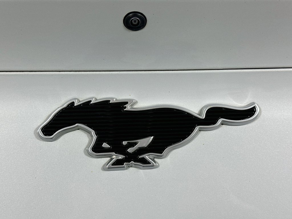 Certified 2021 Ford Mustang Mach-E California Route 1 RWD image 18