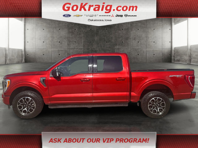 Used 2023 Ford F150 XLT w/ Equipment Group 302A High AWD/4WD image 8