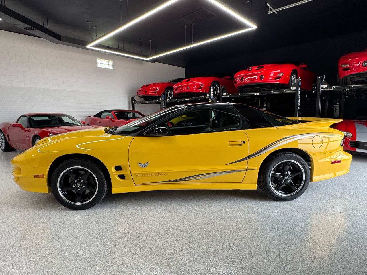 Used 2002 Pontiac Firebird Trans Am RWD image 7
