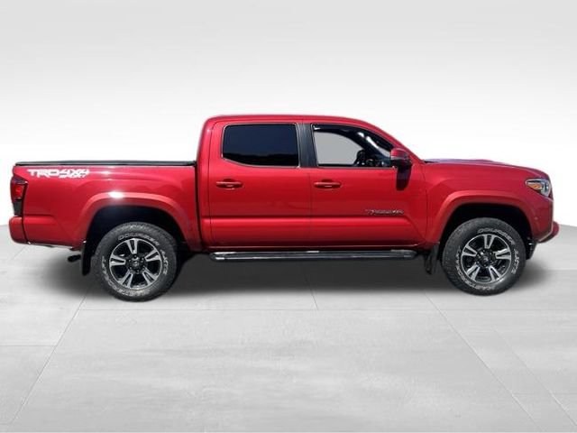 Used 2019 Toyota Tacoma TRD Sport AWD/4WD image 6