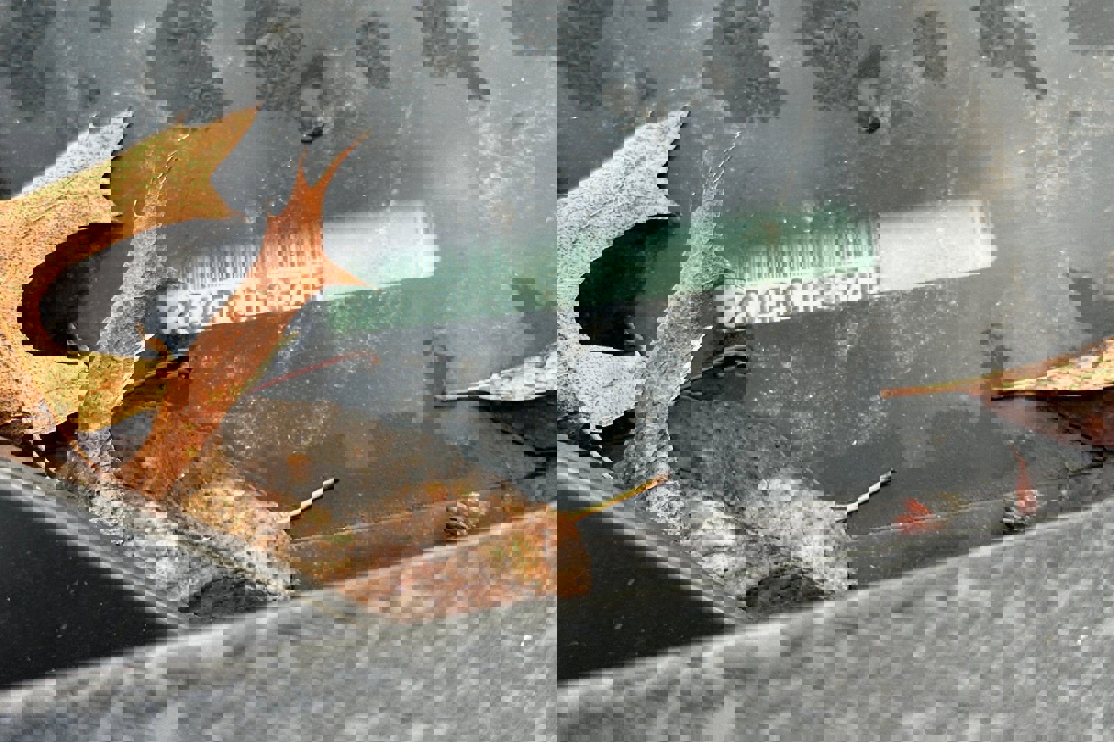 Used 2018 Chrysler Pacifica Touring-L Plus w/ Advanced Safetytec Group image 3